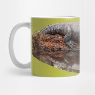 Alligator Resting on a log Mug